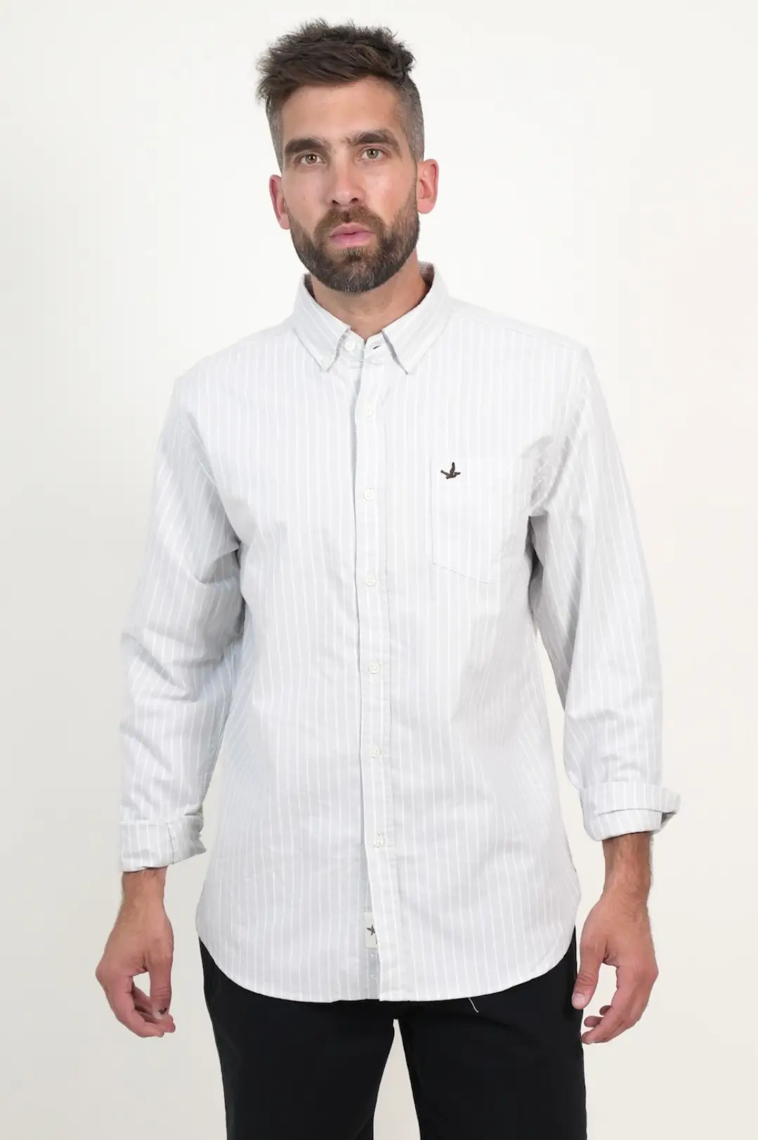 Camisa Oxford Rayada