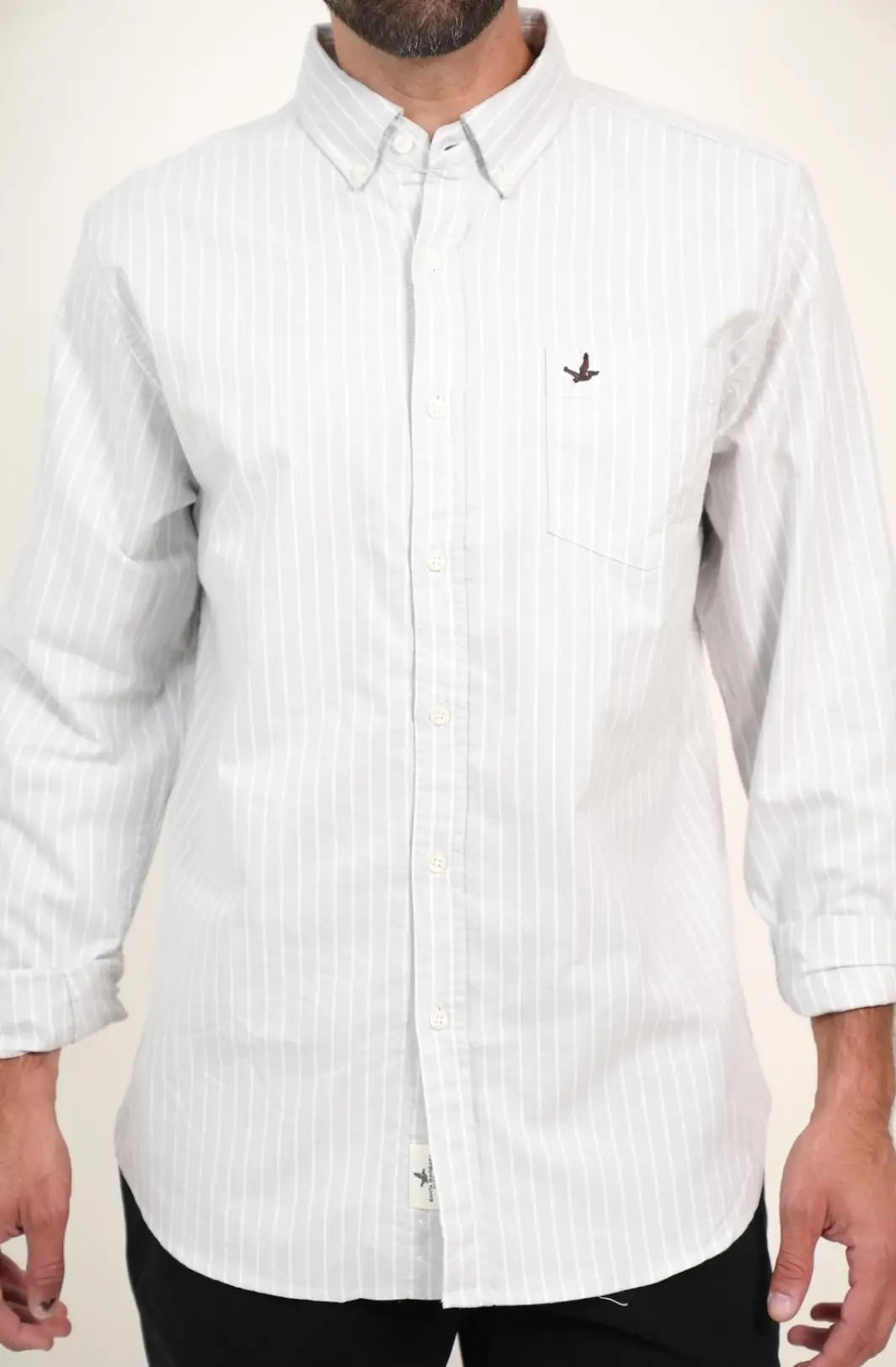 Camisa Oxford Rayada - Imagen 2
